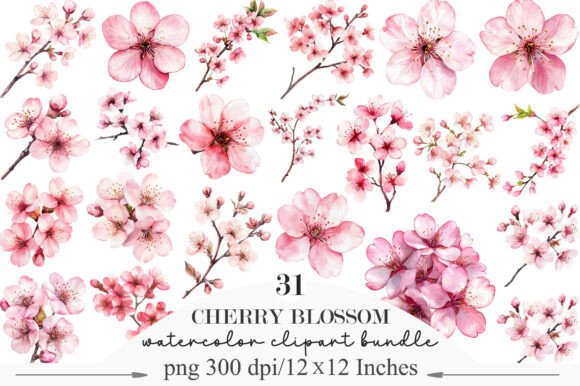 Download Watercolor Cherry Blossom Clipart - Water Collection