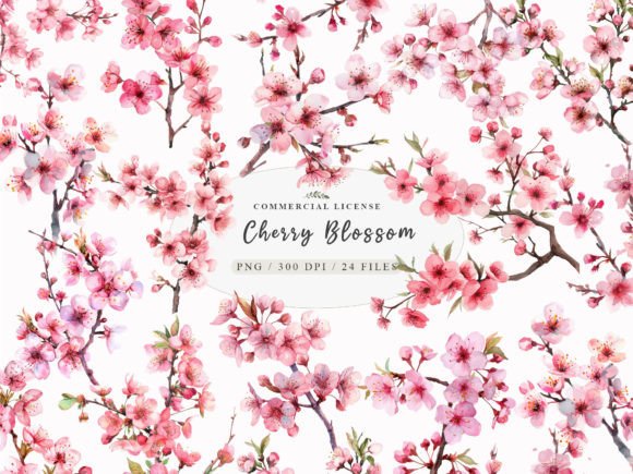 Download Watercolor Cherry Blossom Clipart, - Water Collection