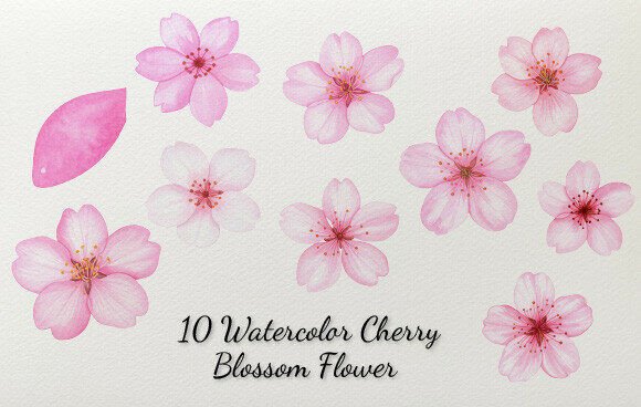 Download 10 Watercolor Cherry Blossom Flower - Water Collection