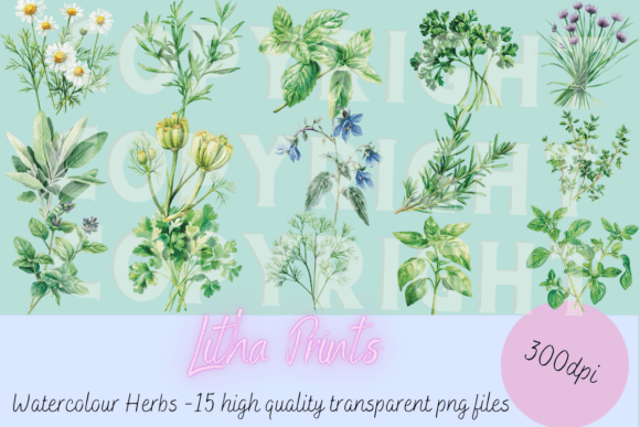 Download Watercolour Herbs - Water Collection