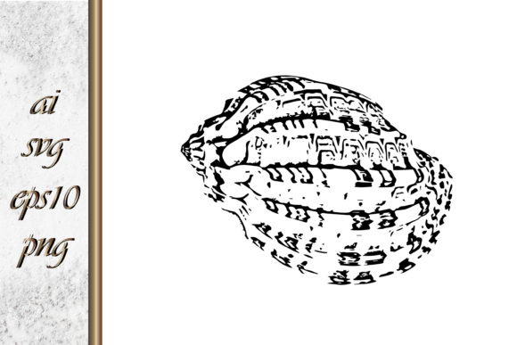Download Doodle Shellfish Hand Drawn Sketch Vecto - Hand Collection