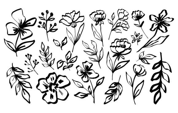 Download Hand Draw Line Flowers and Leaves - Hand Collection