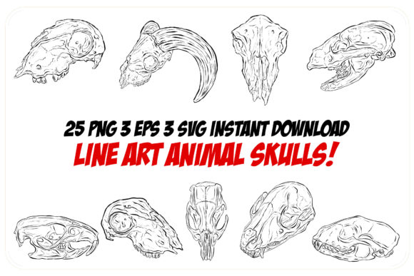 Download Line Art Animal Ram Sheep Skulls Horns - Animal Collection