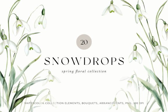 Download Snowdrops Watercolor Floral Collection - Water Collection
