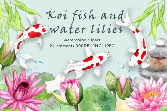 Download Clipart. Koi Fish and Water Lilies. - Water Collection