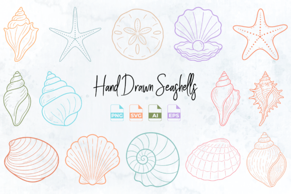 Download Hand Drawn Seashell Clipart PNG SVG - Hand Collection