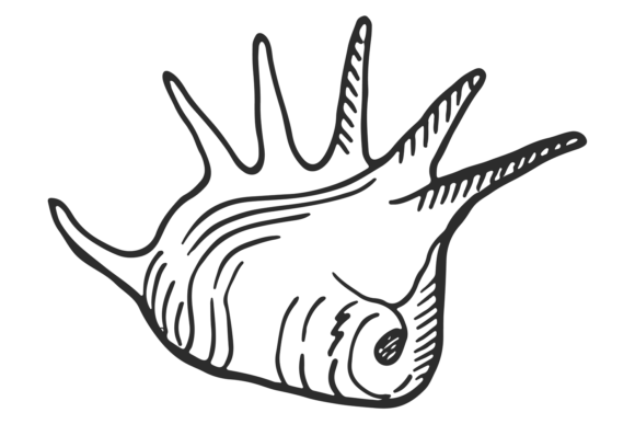 Download Seashell Icon. Hand Drawn Mollusk Shell - Hand Collection