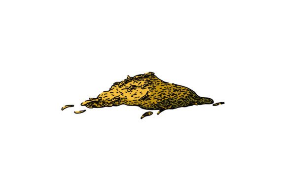 Download Organic Thyme Leaf Sketch Hand Drawn Vec - Hand Collection