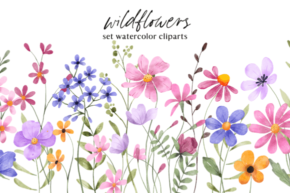 Download Floral Watercolor Set, Flowers, Leaves. - Water Collection