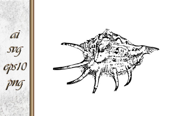 Download Doodle Shellfish Hand Drawn Sketch Vecto - Hand Collection